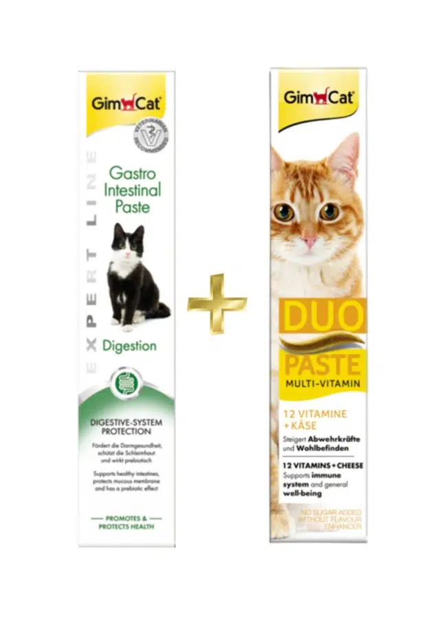 Gimcat Gastro Intestinal Paste Sindirim Destekleyici 50 Gr + Multi-vitamin Duo Paste Peynirli 50 Gr