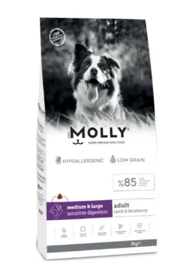 Molly Hipoalerjenik Kuzu Etli Ve Yaban Mersinli Büyük Irk Yetişkin Köpek Maması 2 Kg
