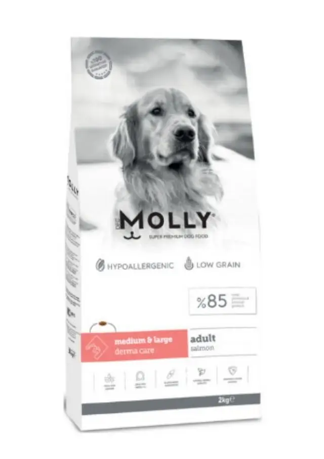 Molly Hipoalerjenik Derma Care Somonlu Büyük Irk Yetişkin Köpek Maması 2 Kg
