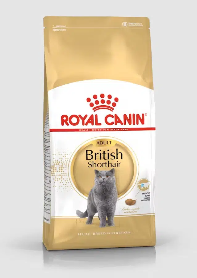 Royal Canin British Shorthair Adult Yetişkin Kedi Maması 10 Kg