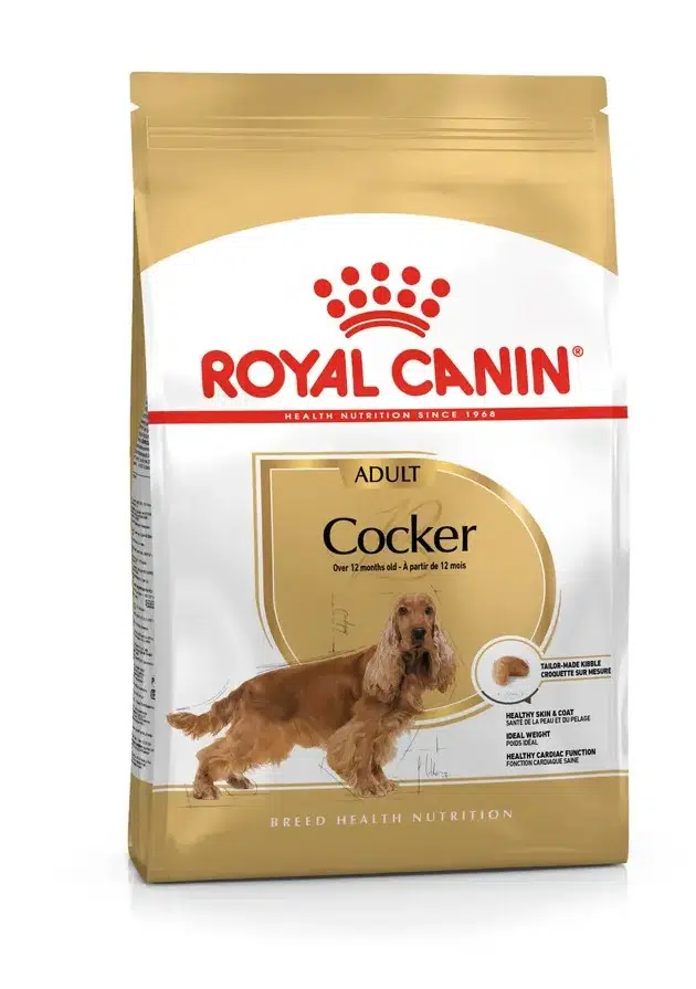 Royal Canin Cocker Adult Yetişkin Köpek Kuru Maması 3 Kg